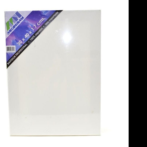 BASTIDOR PROF. 30X40X1.7CM. MECANORMAPINTO C.40